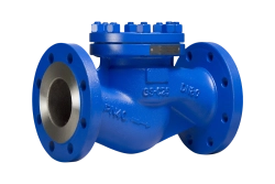 rd509